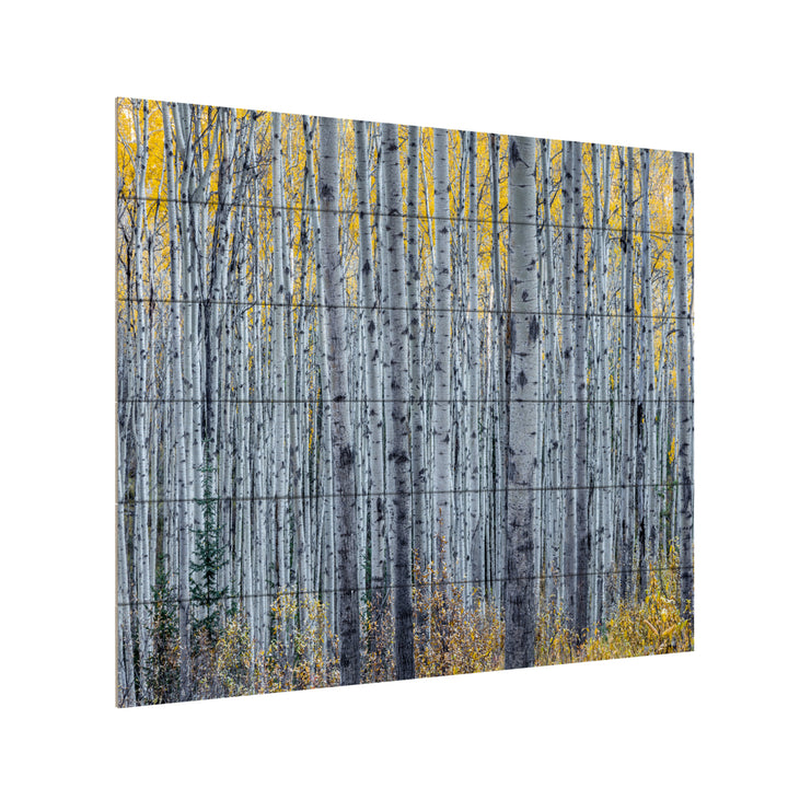 Wooden Slat Art 18 x 22 Inches Titled Forest of Aspen Trees Ready to Hang Picture Image 3