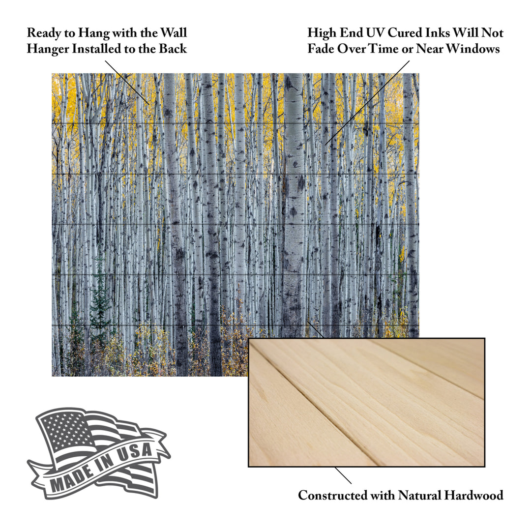 Wooden Slat Art 18 x 22 Inches Titled Forest of Aspen Trees Ready to Hang Picture Image 5