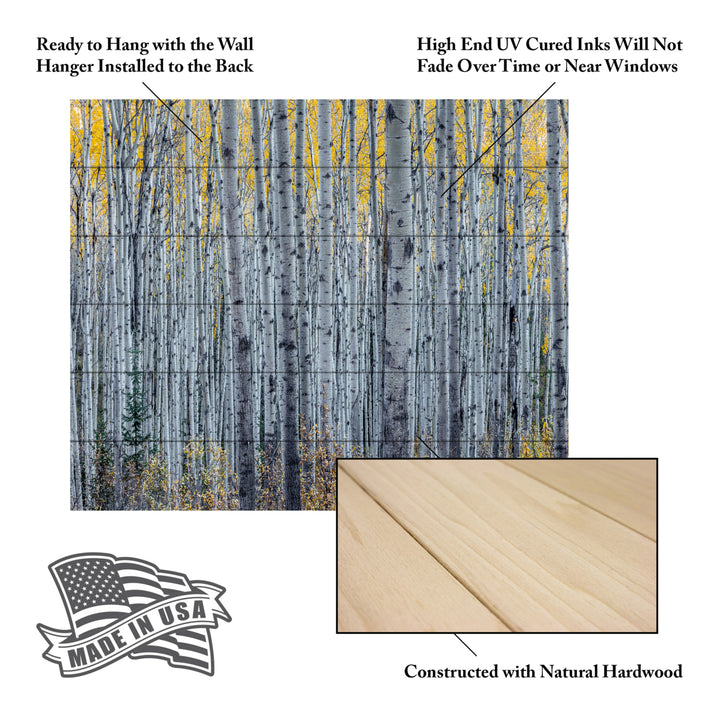 Wooden Slat Art 18 x 22 Inches Titled Forest of Aspen Trees Ready to Hang Picture Image 5