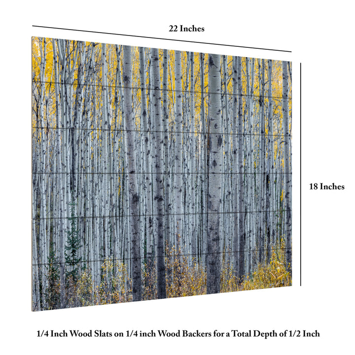 Wooden Slat Art 18 x 22 Inches Titled Forest of Aspen Trees Ready to Hang Picture Image 6