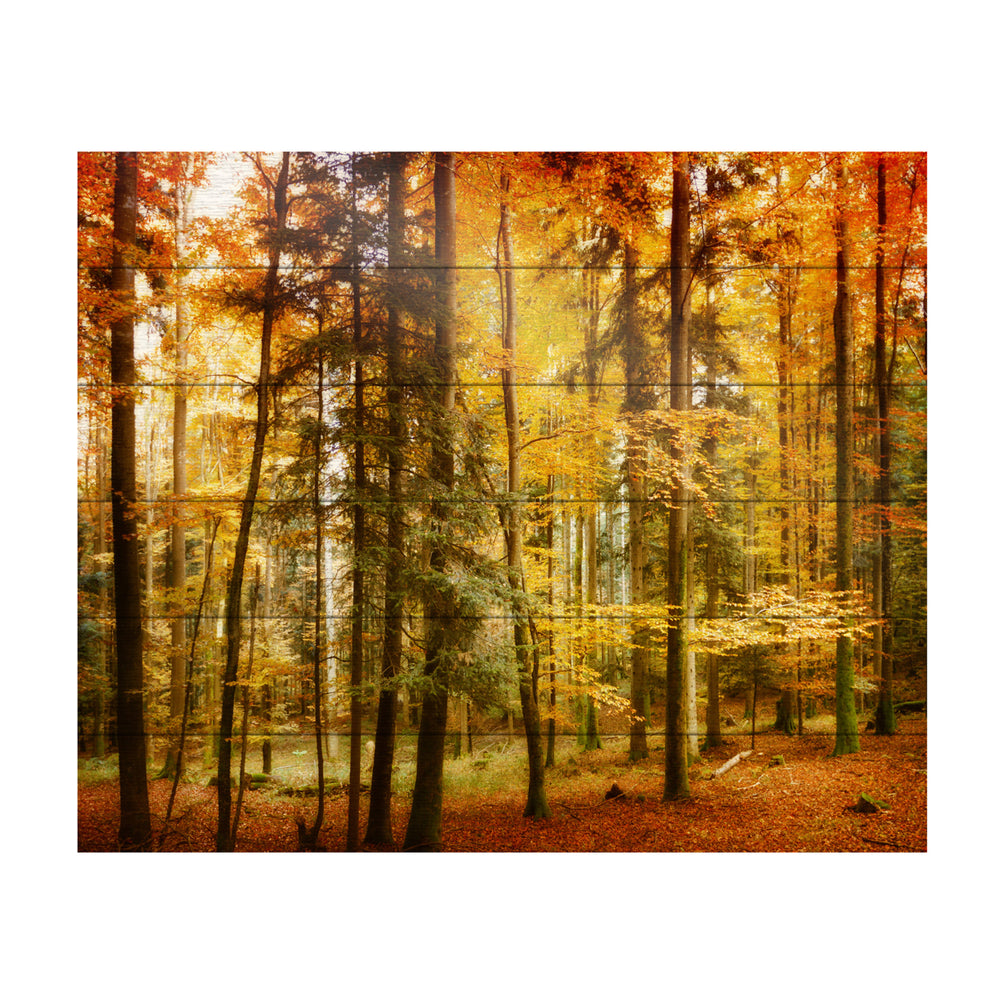 Wooden Slat Art 18 x 22 Inches Titled Brilliant Fall Color Ready to Hang  Picture Image 2