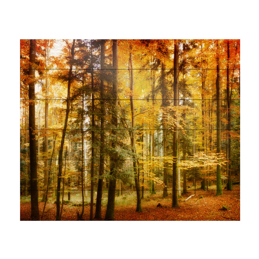 Wooden Slat Art 18 x 22 Inches Titled Brilliant Fall Color Ready to Hang Picture Image 2