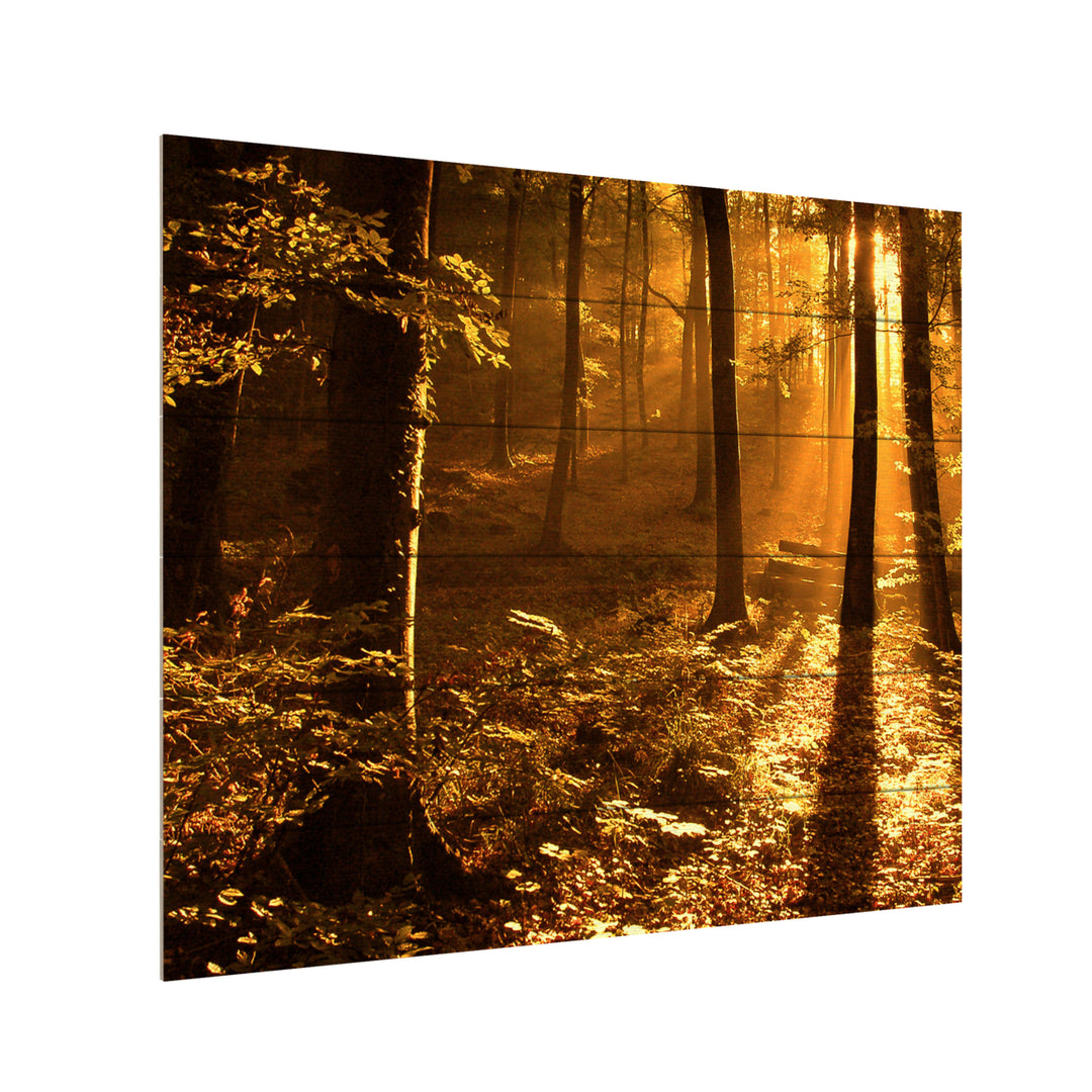 Wooden Slat Art 18 x 22 Inches Titled Morning Light Ready to Hang Picture Image 3