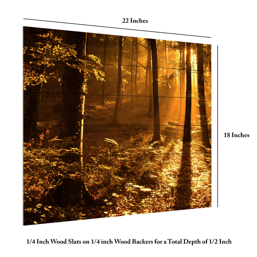 Wooden Slat Art 18 x 22 Inches Titled Morning Light Ready to Hang Picture Image 6