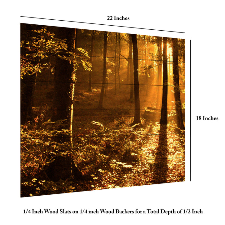 Wooden Slat Art 18 x 22 Inches Titled Morning Light Ready to Hang Picture Image 6