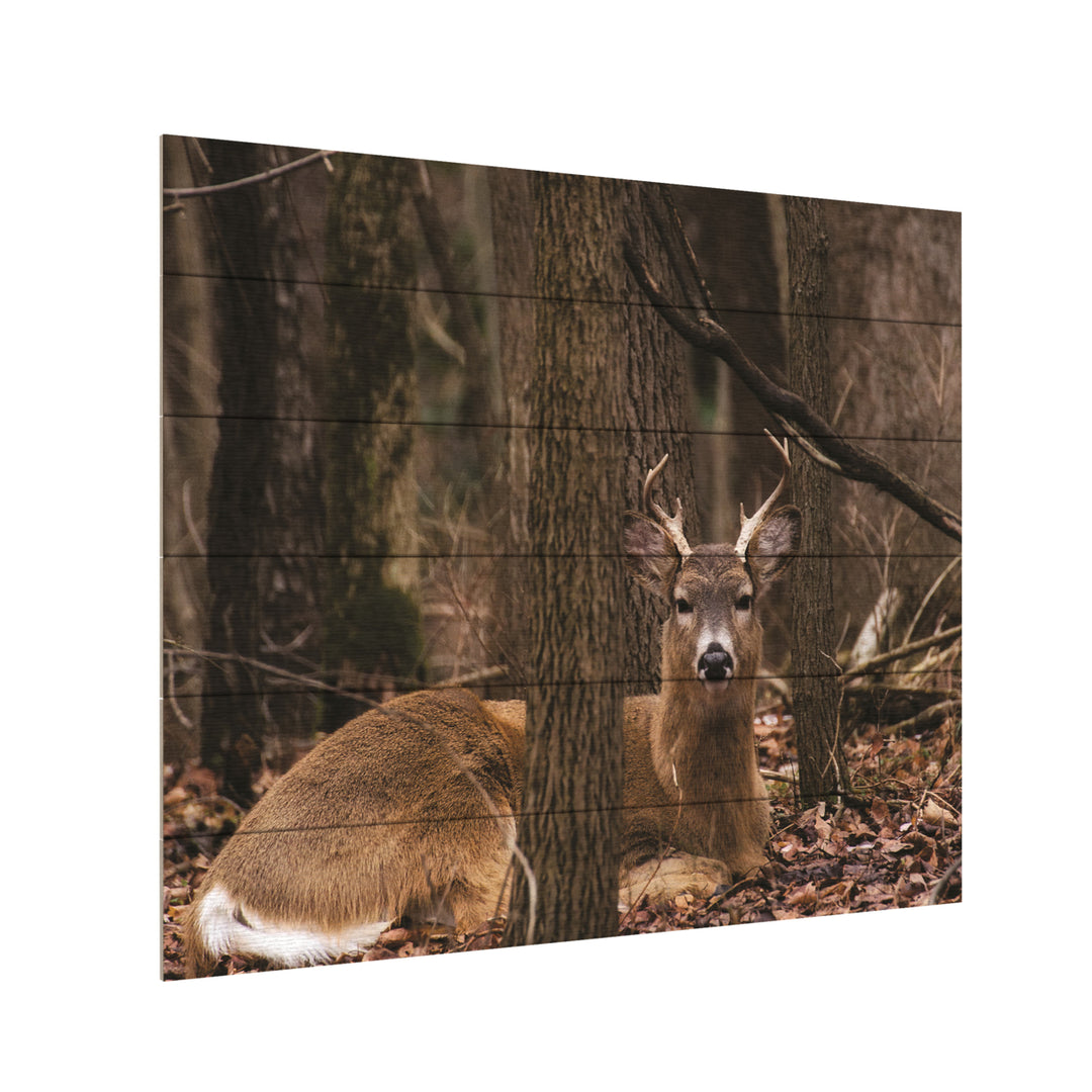 Wooden Slat Art 18 x 22 Inches Titled Sitting Deer/Lake Isaac Ready to Hang Picture Image 3