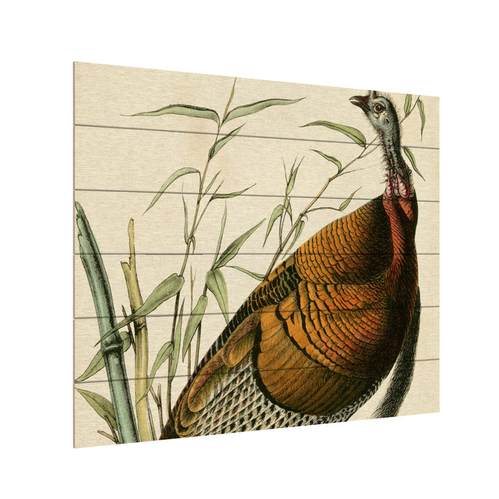 Wooden Slat Art 18 x 22 Inches Titled Audubon Wild Turkey Ready to Hang  Picture Image 3