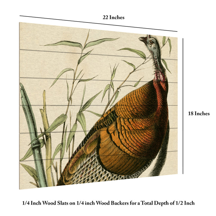 Wooden Slat Art 18 x 22 Inches Titled Audubon Wild Turkey Ready to Hang  Picture Image 6