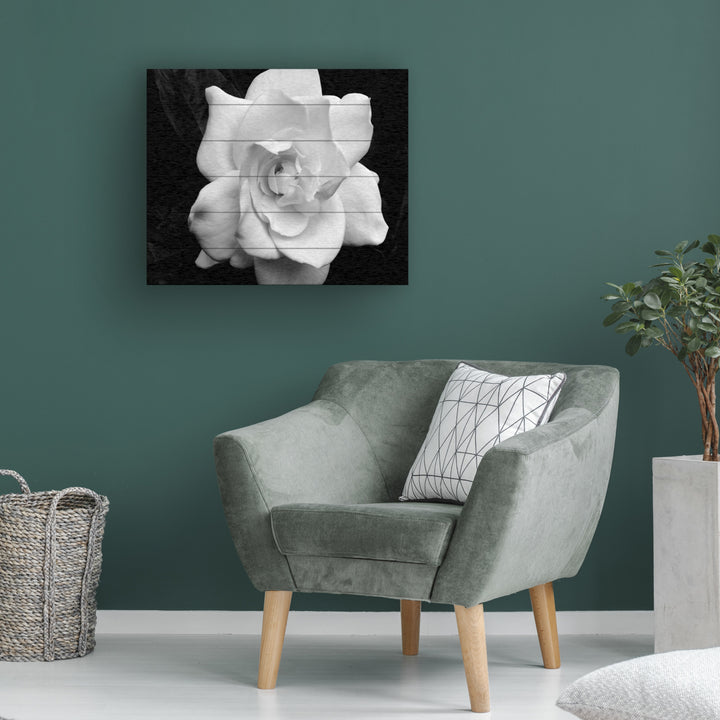 Wooden Slat Art 18 x 22 Inches Titled Gardenia in Black and White Ready to Hang Picture Image 1