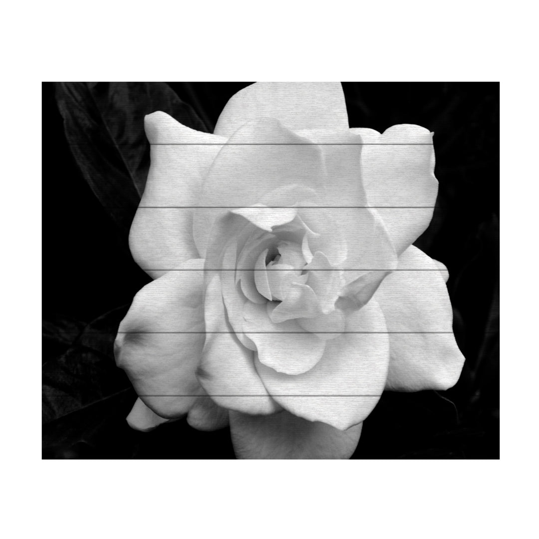 Wooden Slat Art 18 x 22 Inches Titled Gardenia in Black and White Ready to Hang Picture Image 2