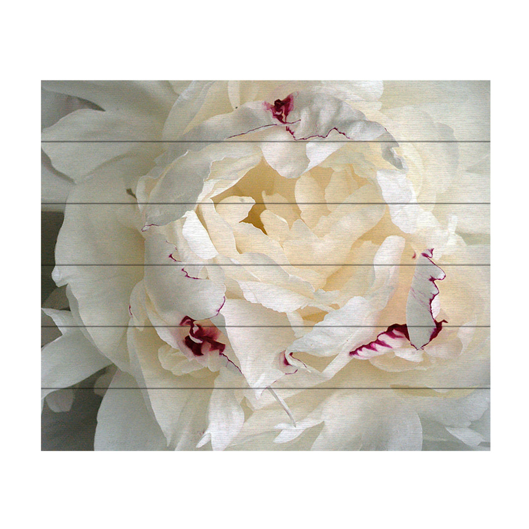 Wooden Slat Art 18 x 22 Inches Titled Perfect Peony Ready to Hang Picture Image 2