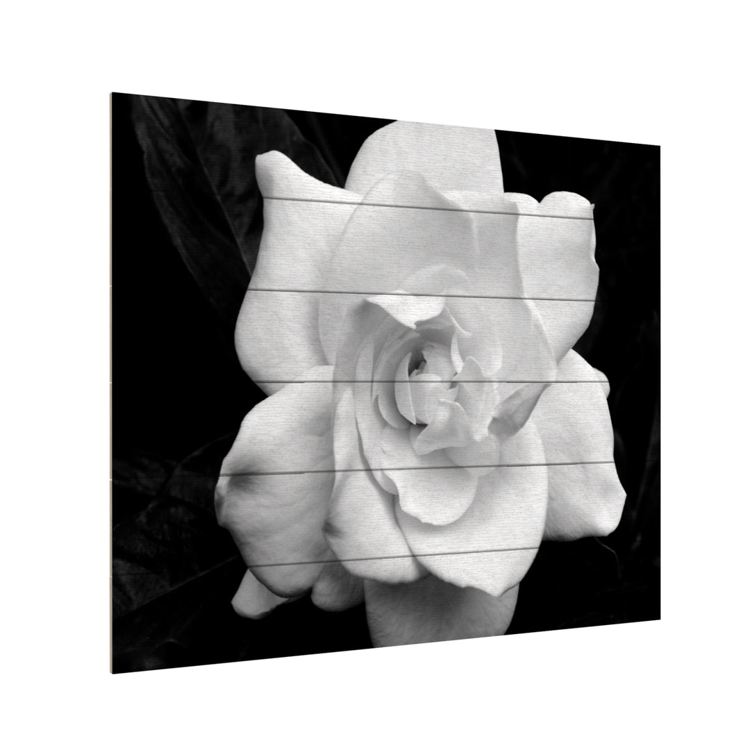 Wooden Slat Art 18 x 22 Inches Titled Gardenia in Black and White Ready to Hang Picture Image 3