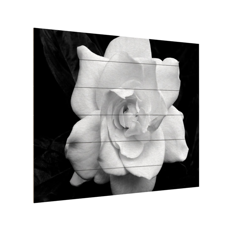 Wooden Slat Art 18 x 22 Inches Titled Gardenia in Black and White Ready to Hang Picture Image 3