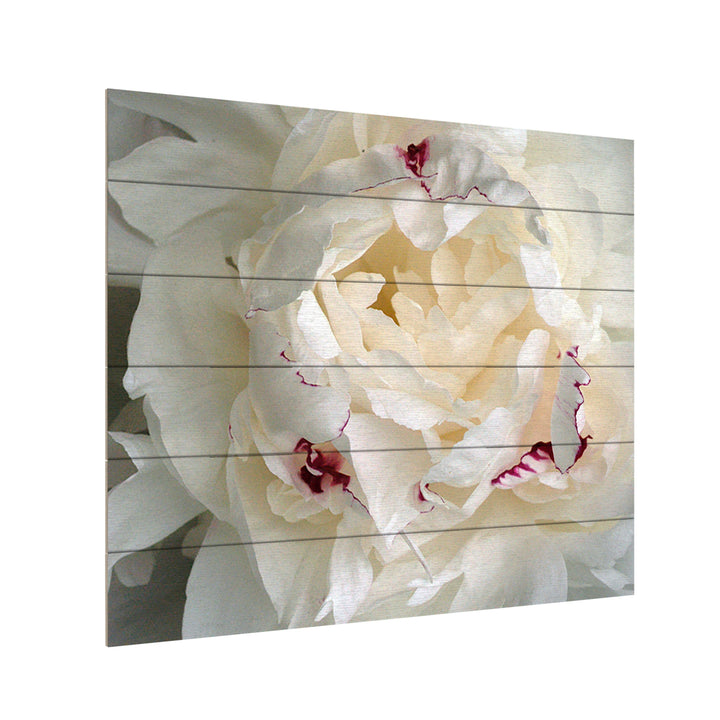 Wooden Slat Art 18 x 22 Inches Titled Perfect Peony Ready to Hang Picture Image 3