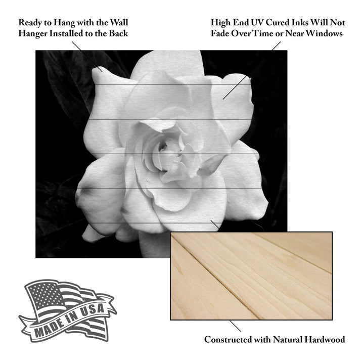 Wooden Slat Art 18 x 22 Inches Titled Gardenia in Black and White Ready to Hang Picture Image 5