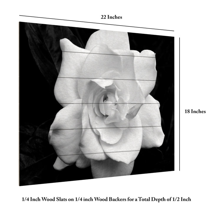 Wooden Slat Art 18 x 22 Inches Titled Gardenia in Black and White Ready to Hang Picture Image 6