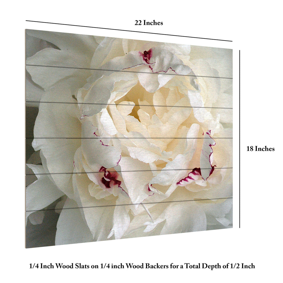 Wooden Slat Art 18 x 22 Inches Titled Perfect Peony Ready to Hang Picture Image 6