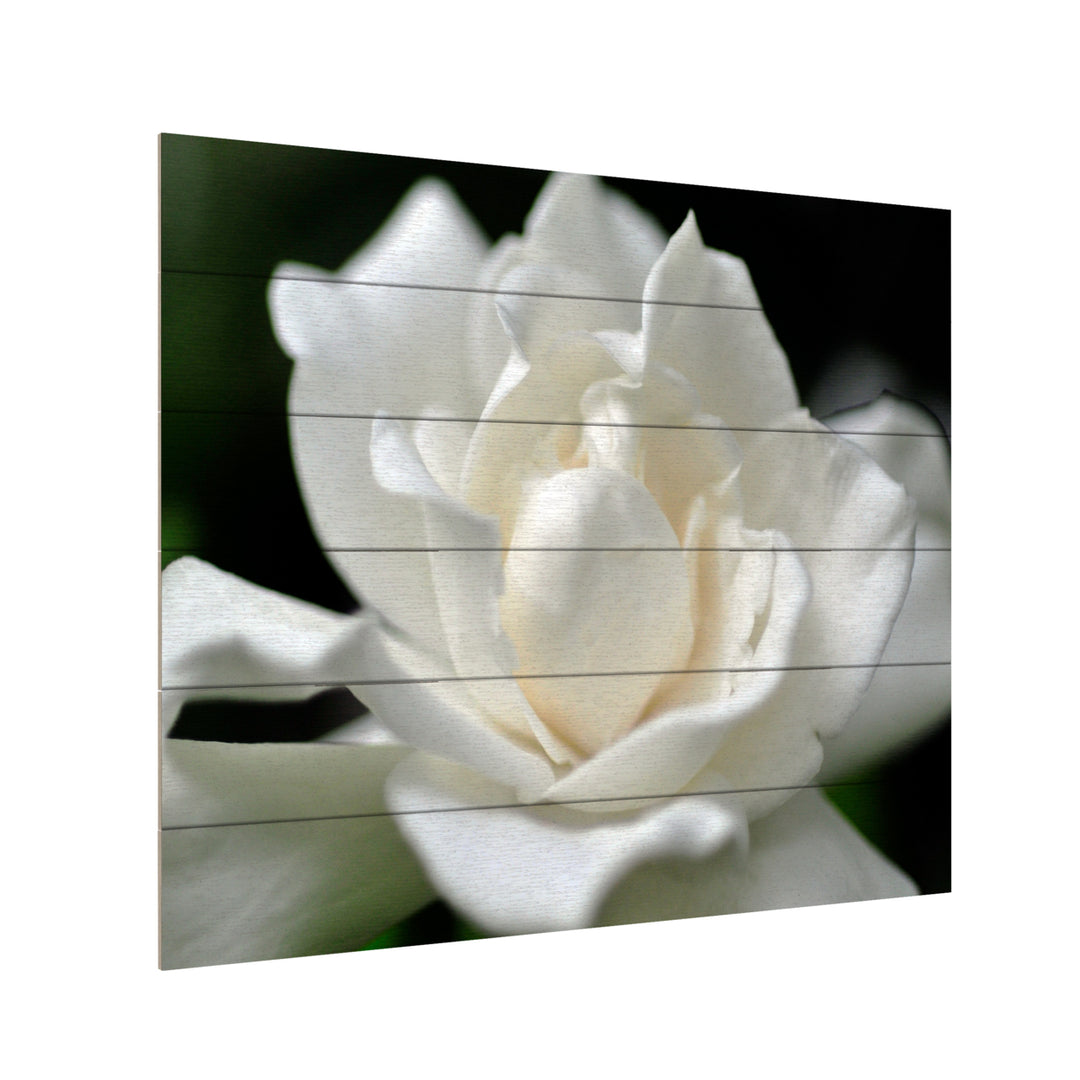 Wooden Slat Art 18 x 22 Inches Titled Lovely Gardenia Ready to Hang Picture Image 3