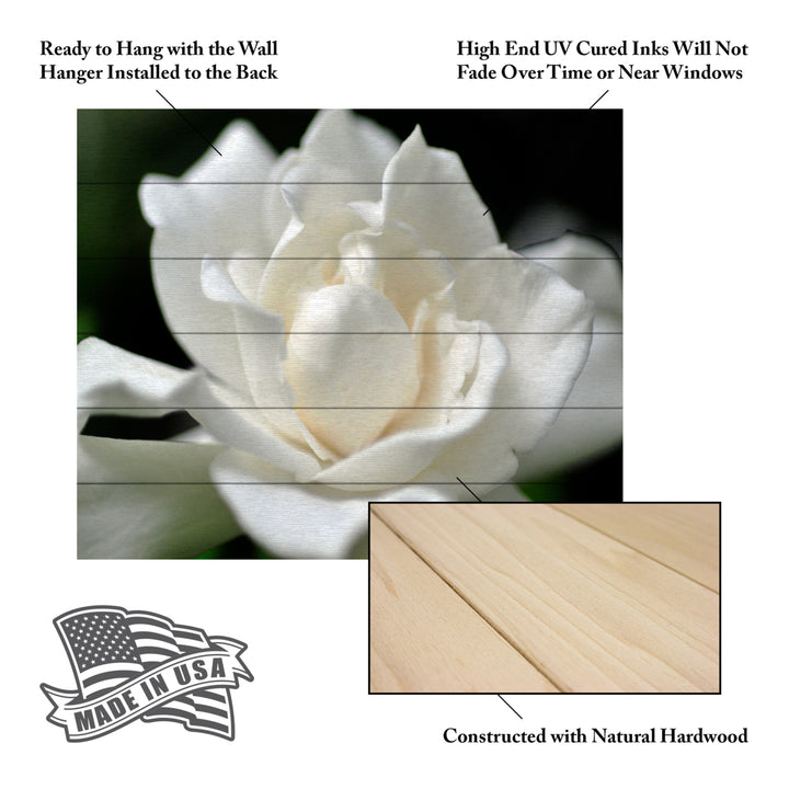 Wooden Slat Art 18 x 22 Inches Titled Lovely Gardenia Ready to Hang Picture Image 5