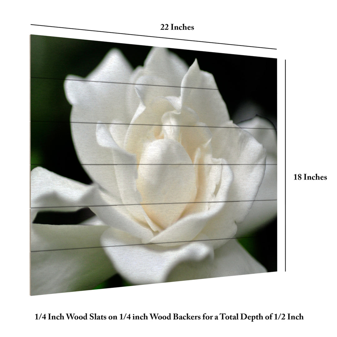 Wooden Slat Art 18 x 22 Inches Titled Lovely Gardenia Ready to Hang Picture Image 6