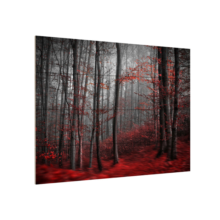 Wall Art 12 x 16 Inches Titled Bloody River Ready to Hang Printed on Wooden Planks Image 3