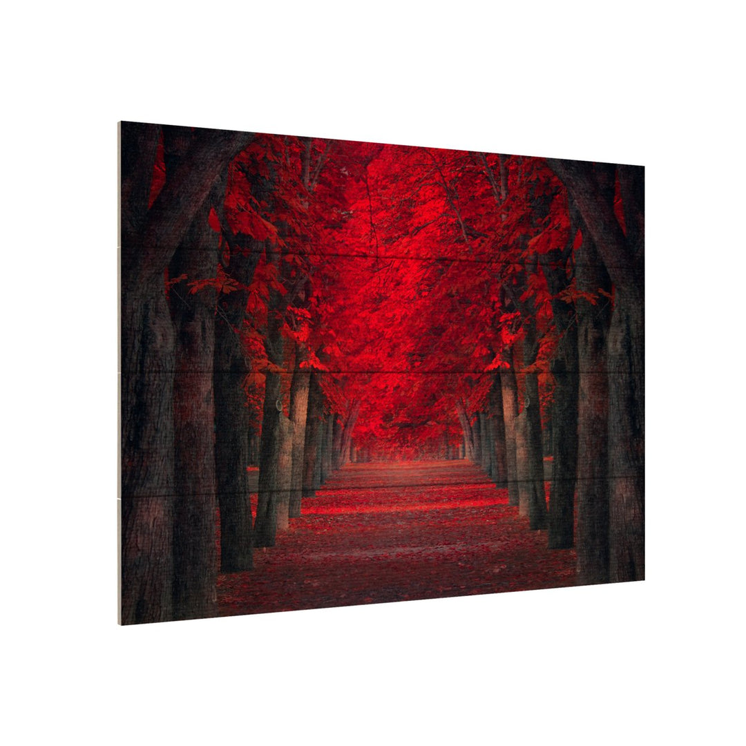 Wall Art 12 x 16 Inches Titled Endless Passion Ready to Hang Printed on Wooden Planks Image 3