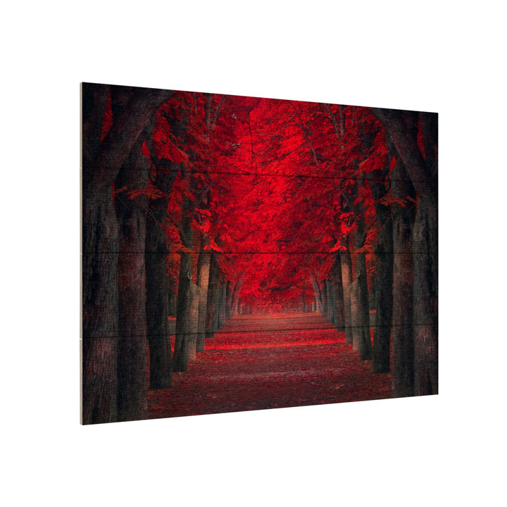 Wall Art 12 x 16 Inches Titled Endless Passion Ready to Hang Printed on Wooden Planks Image 3