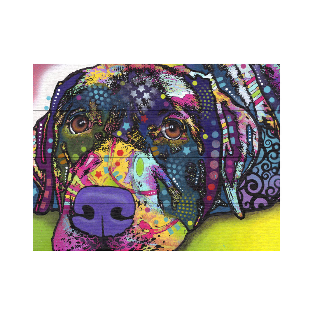 Wall Art 12 x 16 Inches Titled Savvy Labrador Ready to Hang Printed on Wooden Planks Image 2