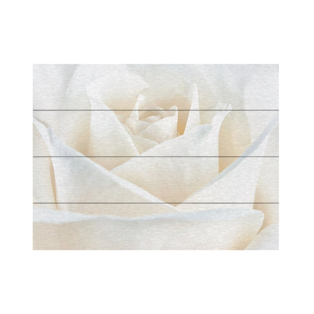 Wall Art 12 x 16 Inches Titled Pure White Rose Ready to Hang Printed on Wooden Planks Image 2