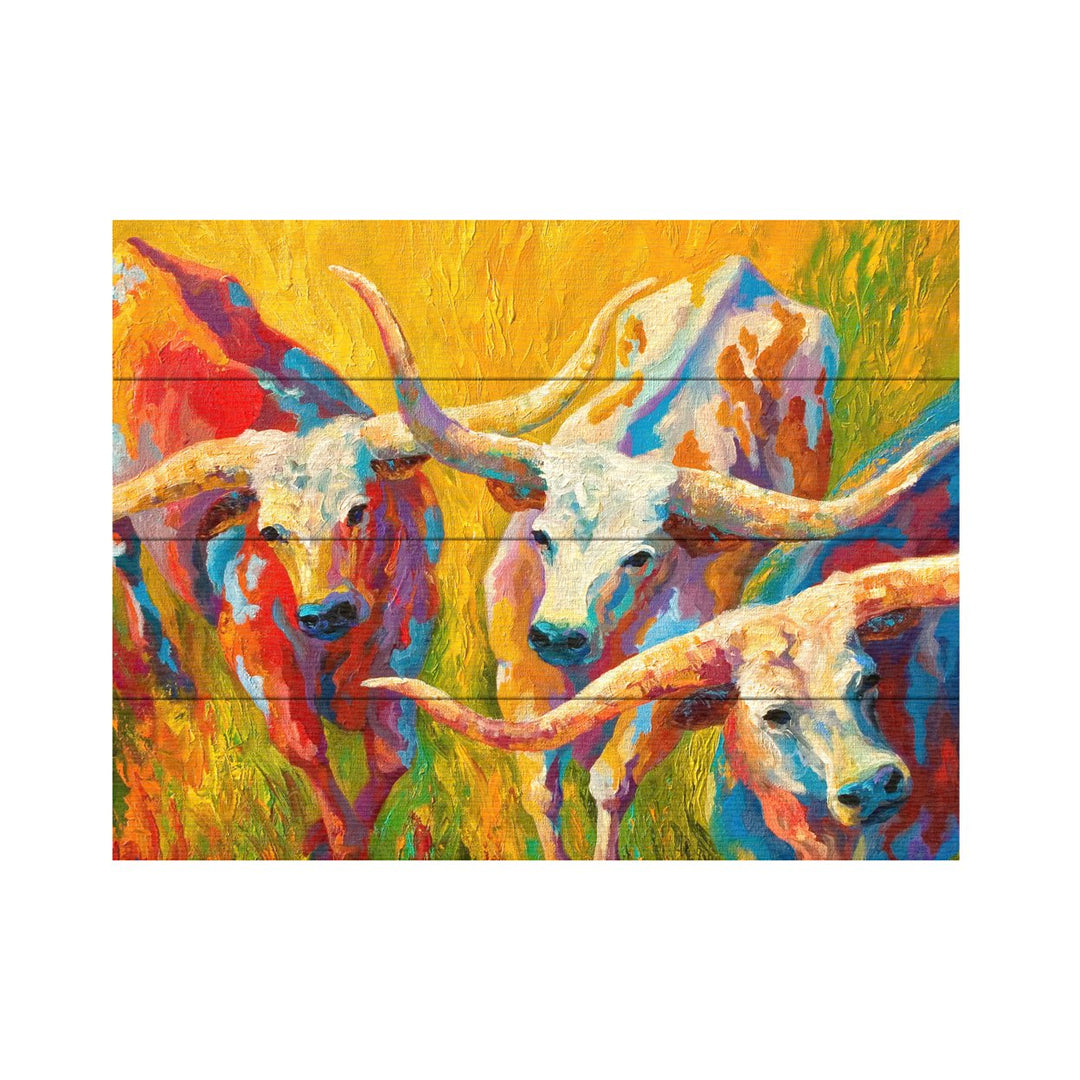 Wall Art 12 x 16 Inches Titled Dance of the Longhorns Ready to Hang Printed on Wooden Planks Image 2