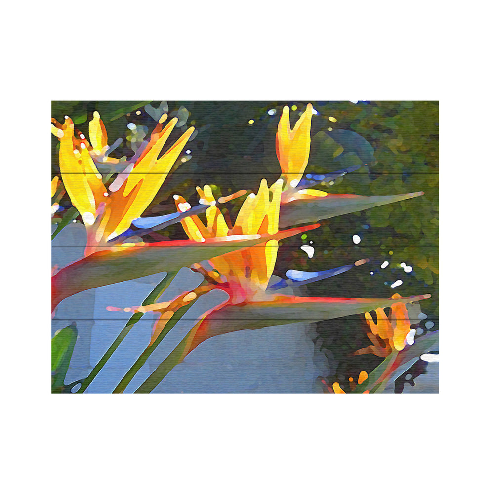 Wall Art 12 x 16 Inches Titled Bird of Paradise Backlit by Sun Ready to Hang Printed on Wooden Planks Image 2