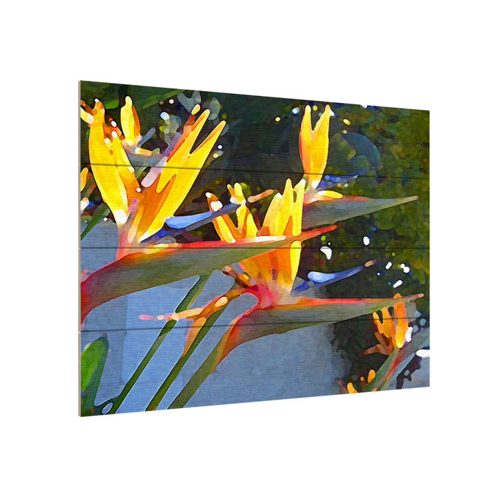 Wall Art 12 x 16 Inches Titled Bird of Paradise Backlit by Sun Ready to Hang Printed on Wooden Planks Image 3