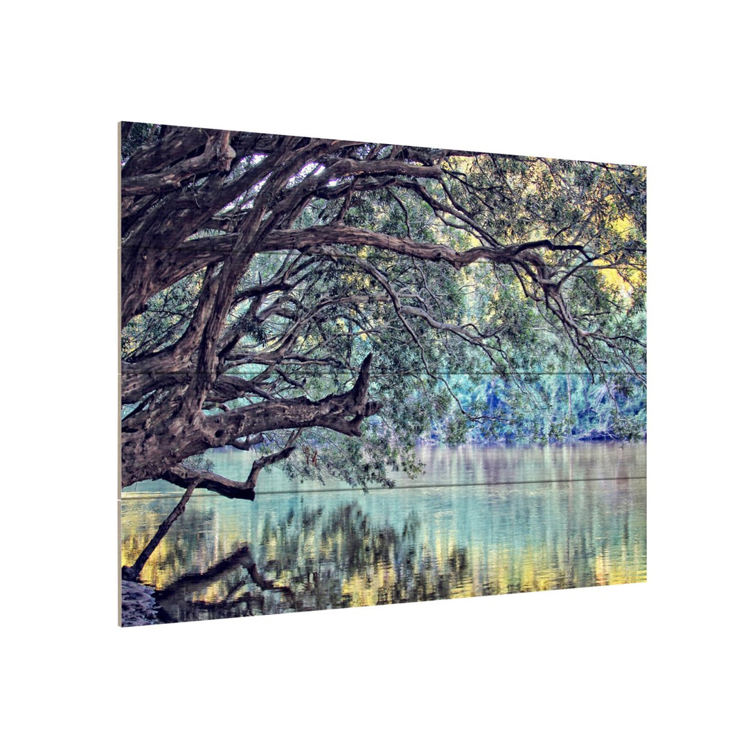 Wall Art 12 x 16 Inches Titled A Place to Dream Ready to Hang Printed on Wooden Planks Image 3