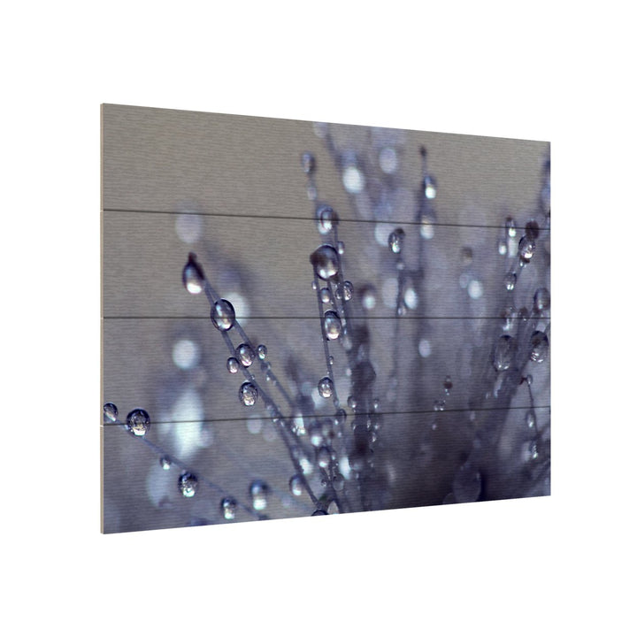 Wall Art 12 x 16 Inches Titled Evening Jewels Ready to Hang Printed on Wooden Planks Image 3