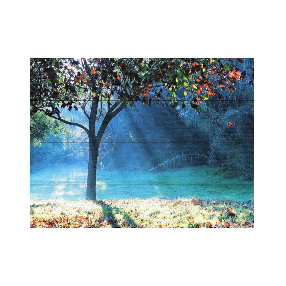 Wall Art 12 x 16 Inches Titled Rays of Hope Ready to Hang Printed on Wooden Planks Image 2