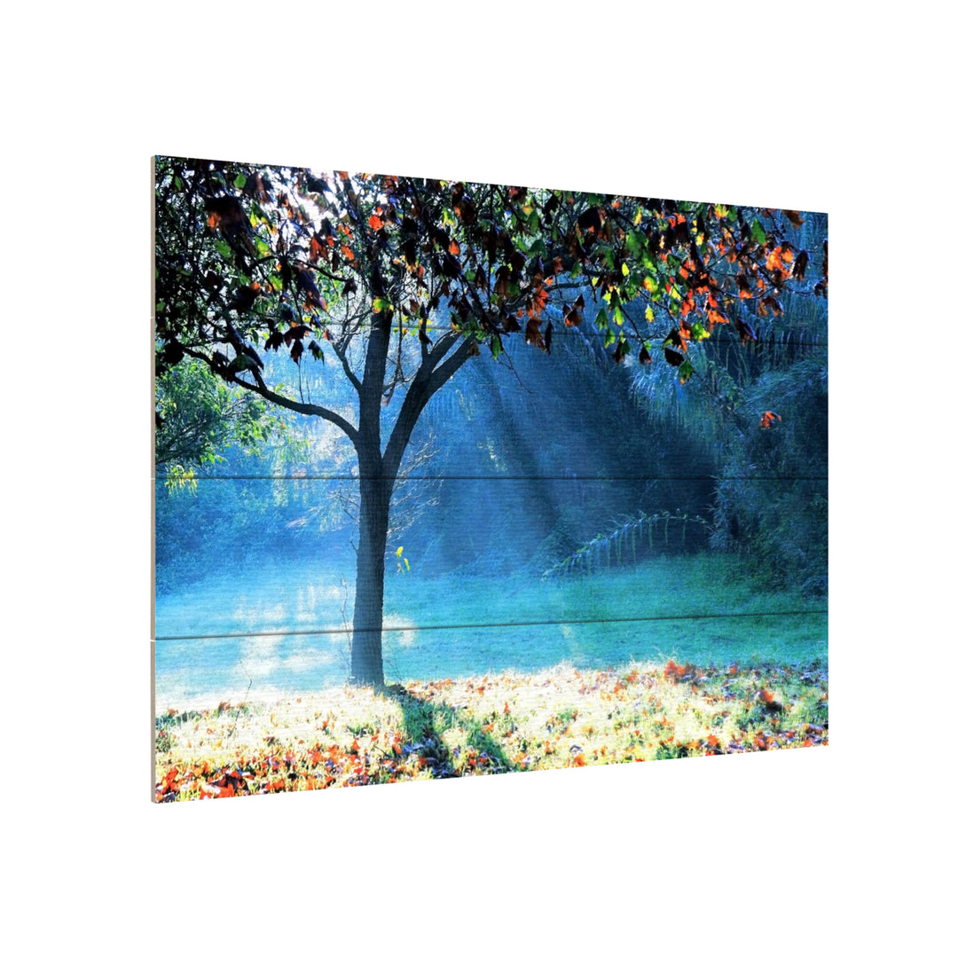 Wall Art 12 x 16 Inches Titled Rays of Hope Ready to Hang Printed on Wooden Planks Image 3