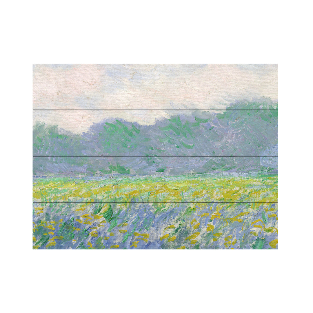 Wall Art 12 x 16 Inches Titled Field Of Yellow Irises Ready to Hang Printed on Wooden Planks Image 2