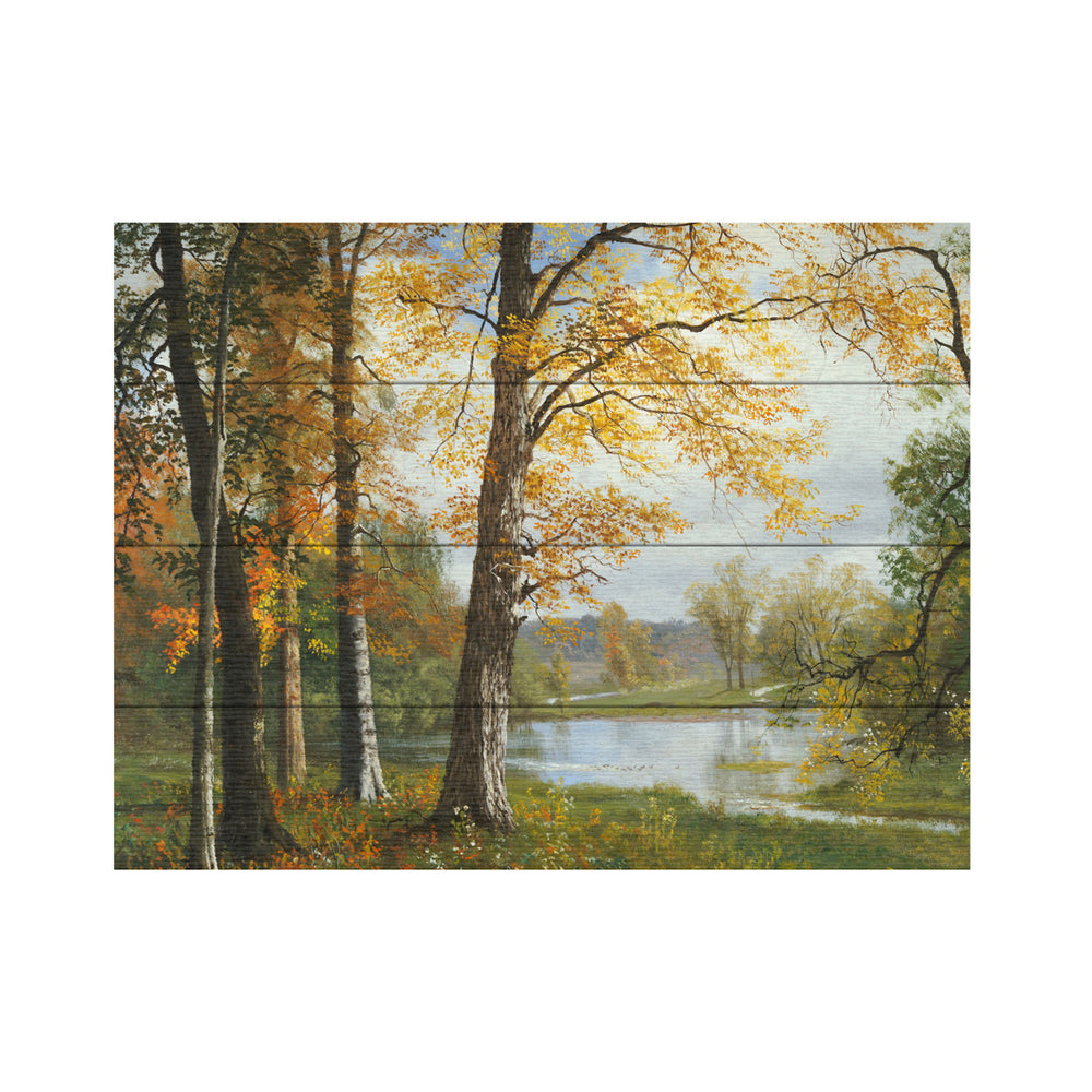 Wall Art 12 x 16 Inches Titled A Quiet Lake Ready to Hang Printed on Wooden Planks Image 2