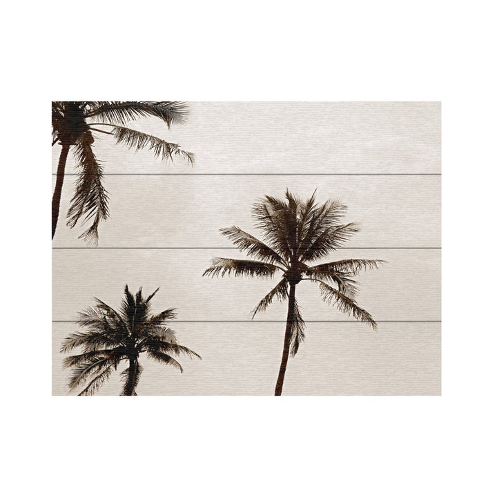 Wall Art 12 x 16 Inches Titled Black and White Palms Ready to Hang Printed on Wooden Planks Image 2
