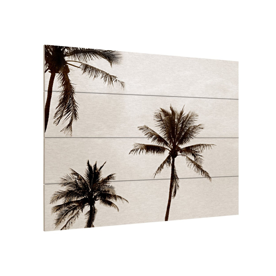 Wall Art 12 x 16 Inches Titled Black and White Palms Ready to Hang Printed on Wooden Planks Image 3