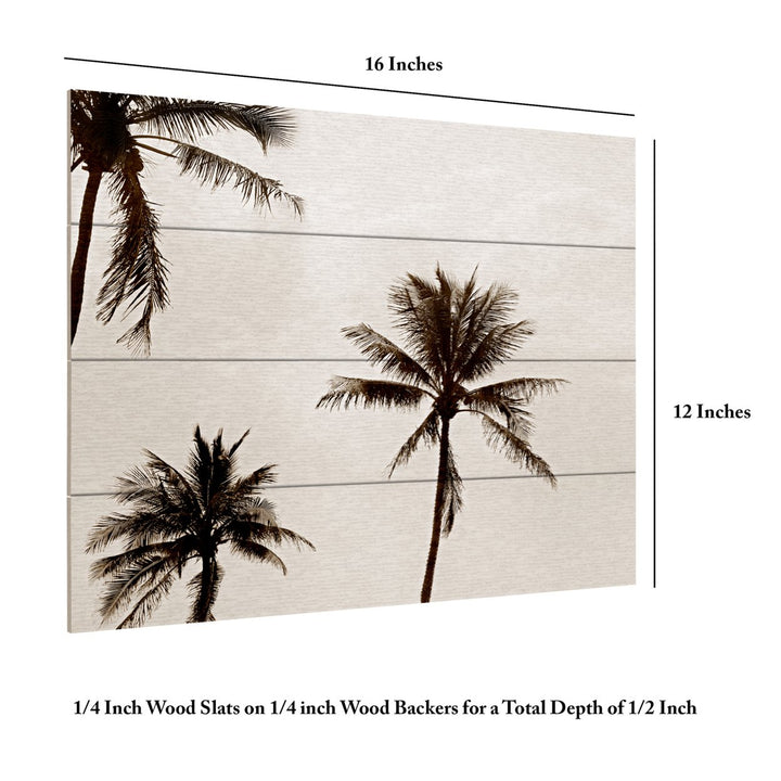 Wall Art 12 x 16 Inches Titled Black and White Palms Ready to Hang Printed on Wooden Planks Image 6