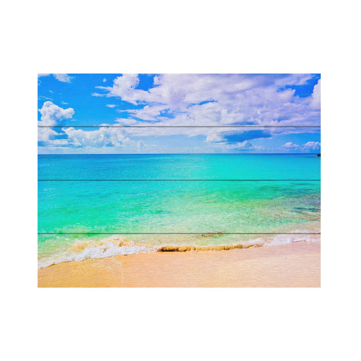 Wall Art 12 x 16 Inches Titled Maho Beach Ready to Hang Printed on Wooden Planks Image 2