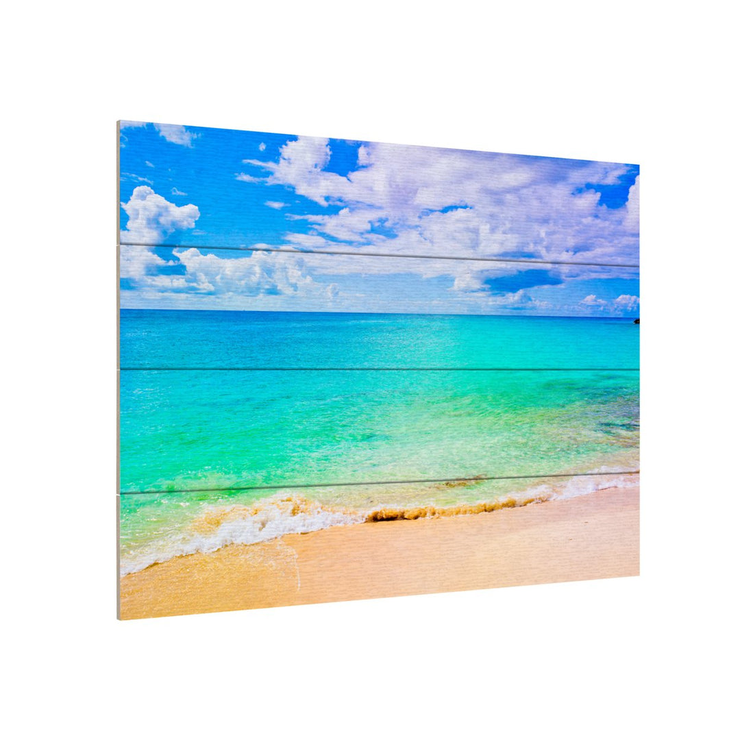 Wall Art 12 x 16 Inches Titled Maho Beach Ready to Hang Printed on Wooden Planks Image 3