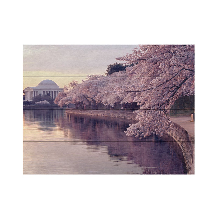 Wall Art 12 x 16 Inches Titled Cherry Blossoms Jefferson Memorial Ready to Hang Printed on Wooden Planks Image 2
