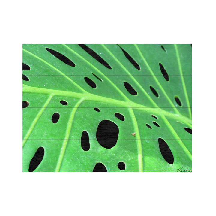 Wall Art 12 x 16 Inches Titled Tropical Leaf Ready to Hang Printed on Wooden Planks Image 2