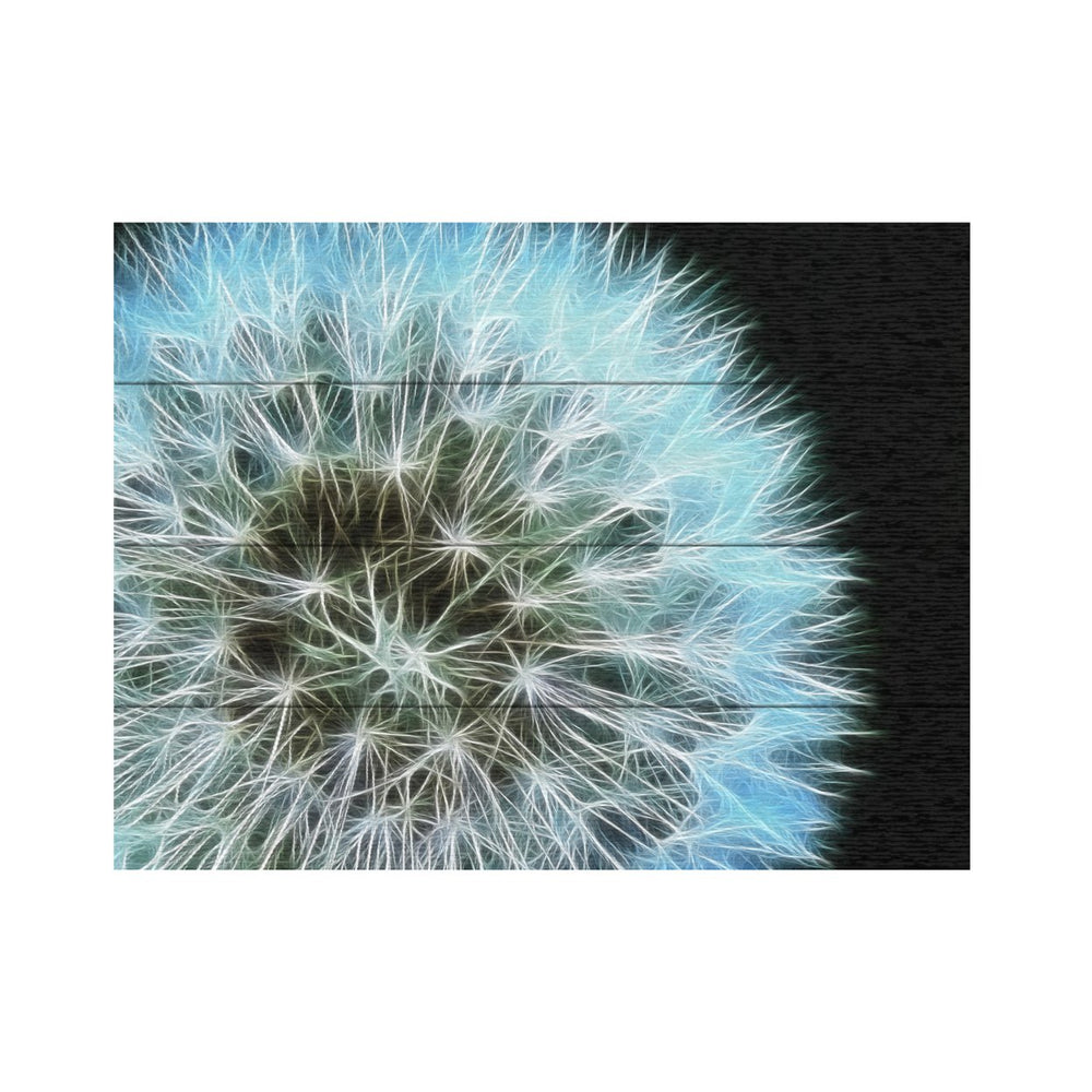 Wall Art 12 x 16 Inches Titled Dandelion Seed Head Full Ready to Hang Printed on Wooden Planks Image 2