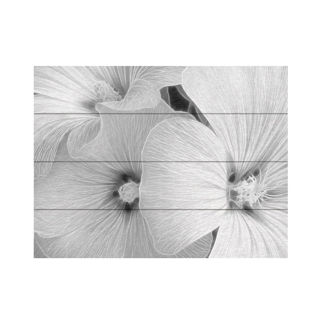 Wall Art 12 x 16 Inches Titled Sheer Malva Ready to Hang Printed on Wooden Planks Image 2