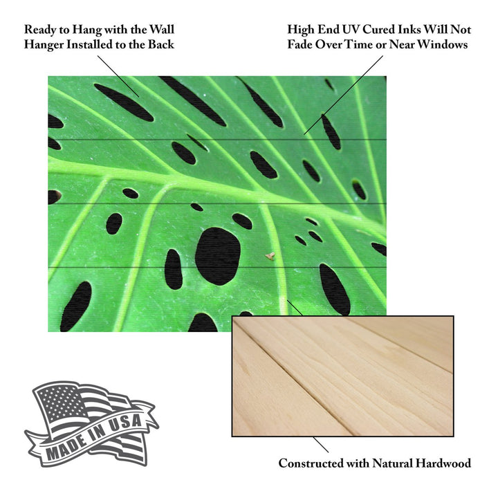 Wall Art 12 x 16 Inches Titled Tropical Leaf Ready to Hang Printed on Wooden Planks Image 5