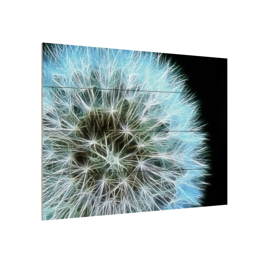 Wall Art 12 x 16 Inches Titled Dandelion Seed Head Full Ready to Hang Printed on Wooden Planks Image 3