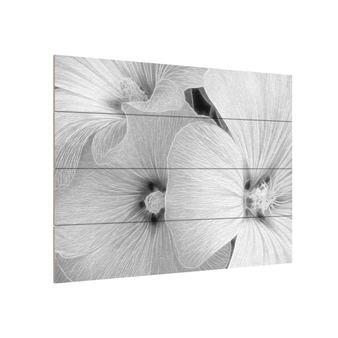 Wall Art 12 x 16 Inches Titled Sheer Malva Ready to Hang Printed on Wooden Planks Image 3